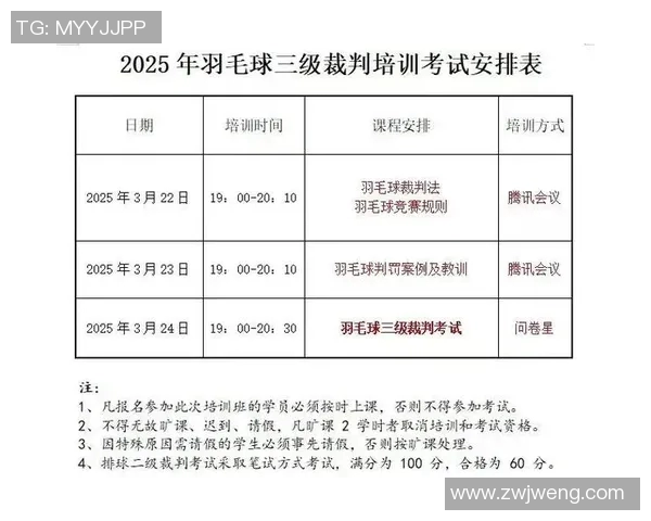 乒乓球与羽毛球赛事裁判判罚规则解析与实战应用探讨